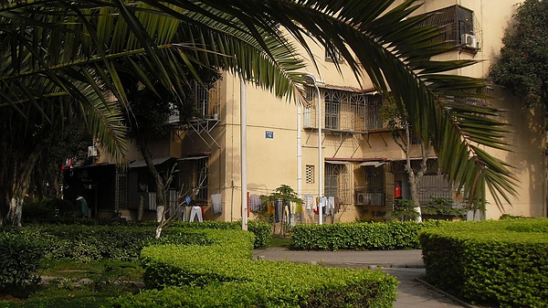 SDC12481.JPG