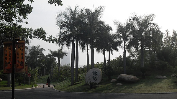 SDC12482.JPG