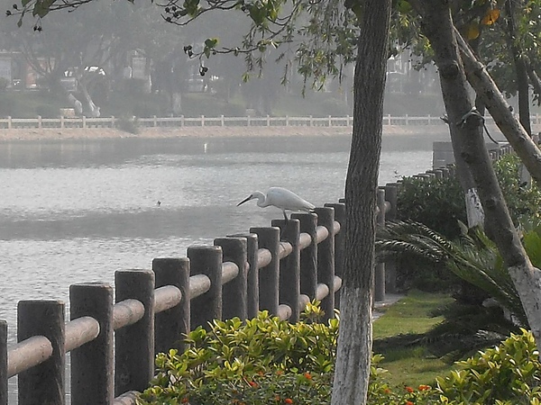 SDC12483.JPG