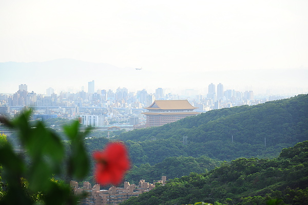 白天圓山