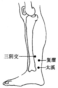 三陰交 復溜