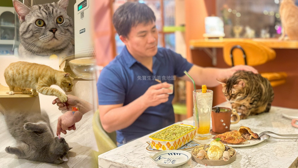 囧貓苑子 貓咪咖啡廳 寵物餐廳 新北咖啡廳 特色咖啡廳 貓咪控-1.jpg 囧貓苑子 貓咪咖啡廳 寵物餐廳 新北咖啡廳 特色咖啡廳 貓咪控-1.jpg