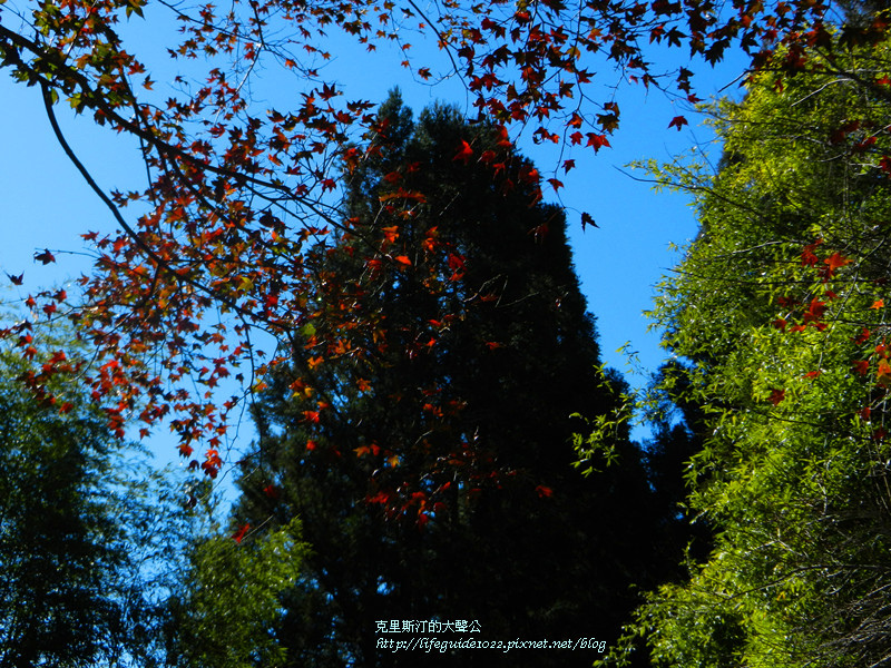 武陵&福壽山 1341_副本.jpg 武陵&福壽山 1341_副本.jpg