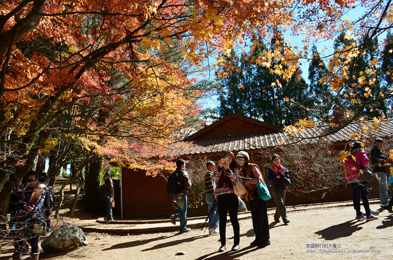 武陵&福壽山 1131_副本.jpg 武陵&福壽山 1131_副本.jpg