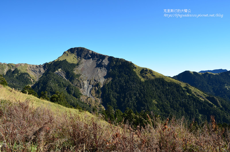 武陵&福壽山 024_副本.jpg