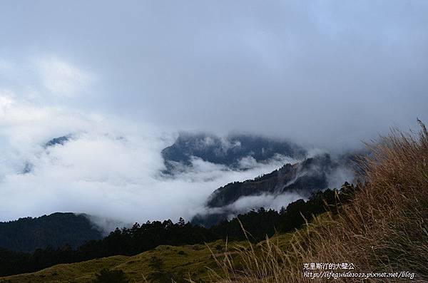 武陵&福壽山 1202_副本.jpg