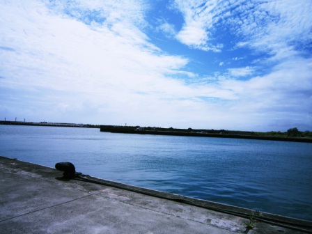 IMG_0350 IMG_0350