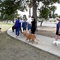 Thearpy Dog Field Trip 2 - Farmer's market