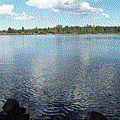 P1020884.gif