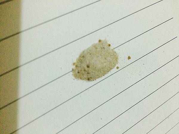 20160601_4145.jpg 試用