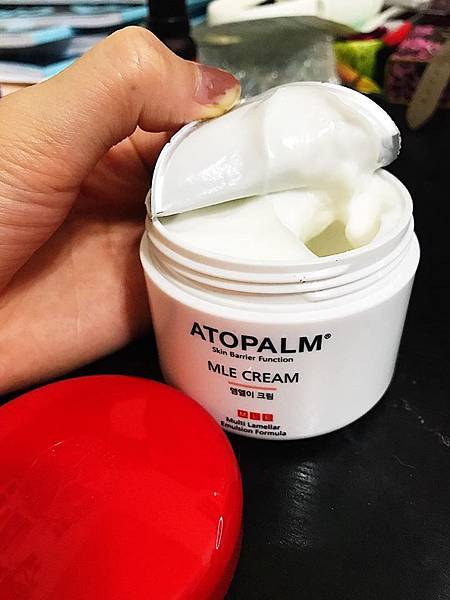 17965853_120300003244209185_496992989_n.jpg 試用