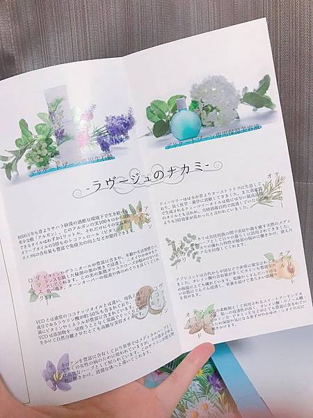 20535880_10213224691601691_1385988983_o.jpg 試用