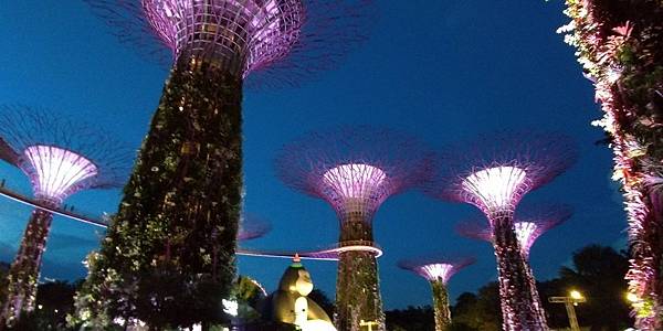 離開新加坡—回家前該做的幾件事