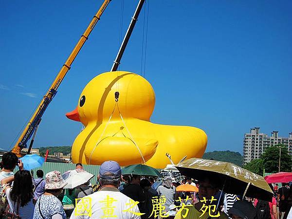 四界七淘趴趴走-遊高雄-搭捷捷運看小鴨(日)-20130919 (71).jpg