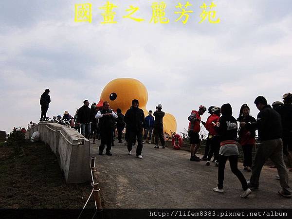 黃色小鴨到桃園---20131026 (54).jpg