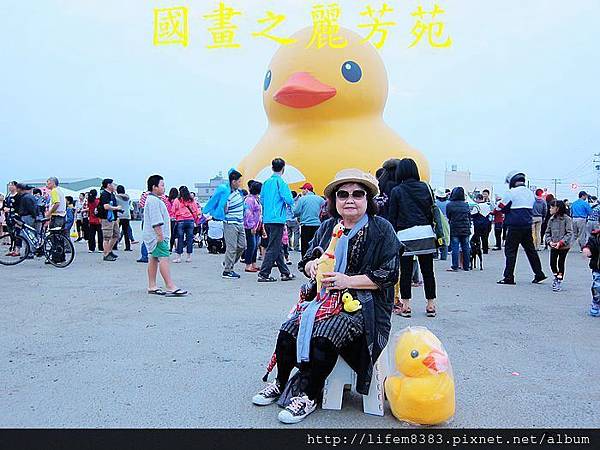 高雄黃色小鴨進駐桃園新屋後埤塘當旱鴨子 (37).jpg