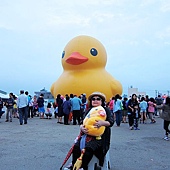 高雄黃色小鴨進駐桃園新屋後埤塘當旱鴨子 (41).jpg