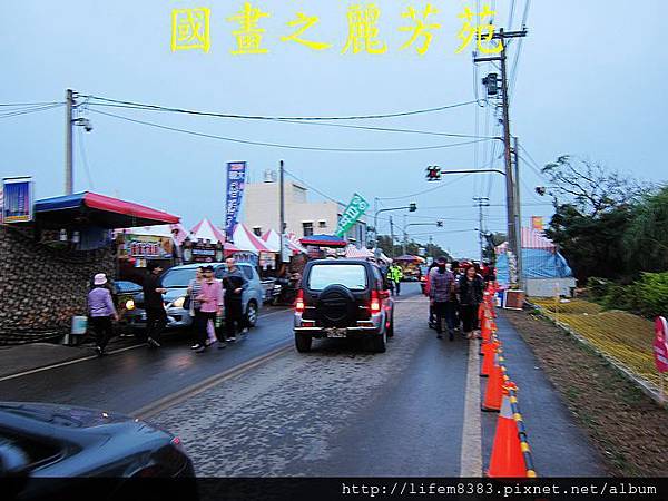 高雄黃色小鴨進駐桃園新屋後埤塘當旱鴨子 (60).jpg