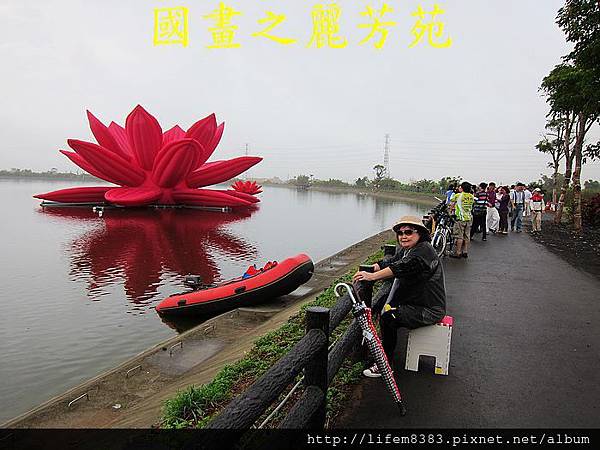 桃園地景藝術-會呼吸的蓮花 (7).jpg