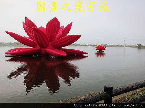 桃園地景藝術-會呼吸的蓮花 (11).jpg