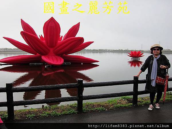 桃園地景藝術-會呼吸的蓮花 (19).jpg