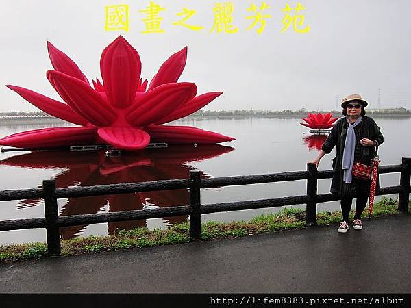 桃園地景藝術-會呼吸的蓮花 (20).jpg