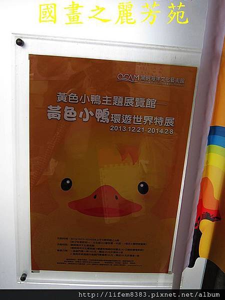 黃色小鴨到基隆-20131228 (150).jpg