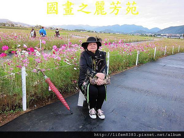 台中新社花海---花間漫遊  (24).jpg