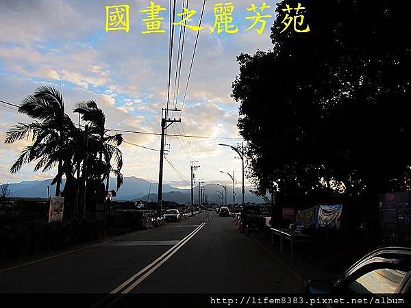 台中新社花海---花間漫遊  (54).jpg