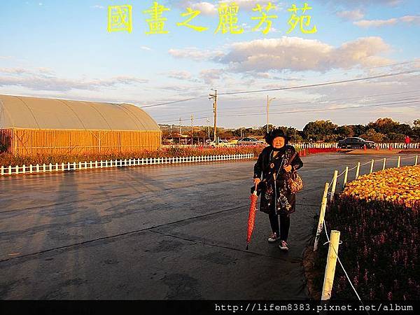 台中新社花海---花間漫遊  (72).jpg