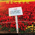 台中新社花海---花間漫遊  (74).jpg