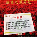 台中新社花海---花間漫遊 (75).jpg