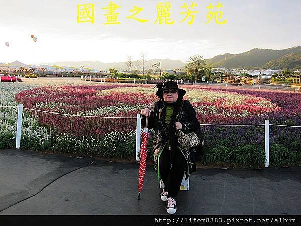 台中新社花海---花間漫遊  (84).jpg