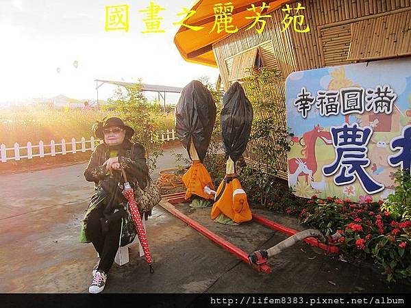 台中新社花海---花間漫遊  (90).jpg