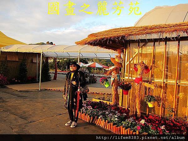 台中新社花海---花間漫遊  (95).jpg