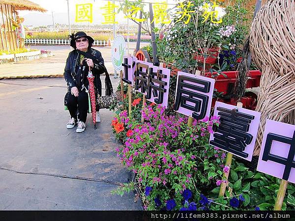 台中新社花海---花間漫遊  (109).jpg