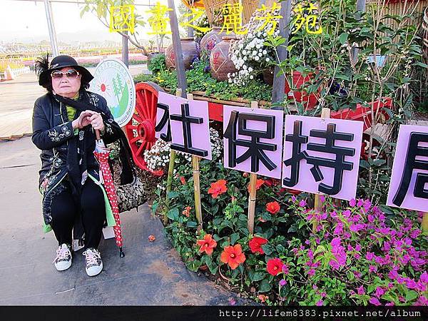 台中新社花海---花間漫遊  (110).jpg