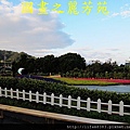 台中新社花海---花間漫遊  (125).jpg