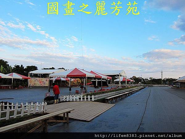 台中新社花海---花間漫遊  (126).jpg