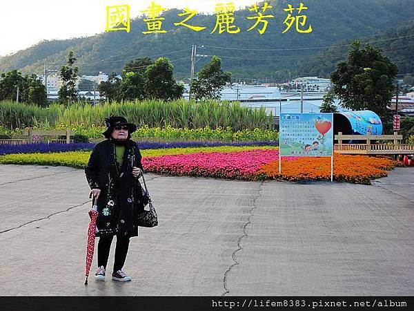 台中新社花海---花間漫遊  (145).jpg