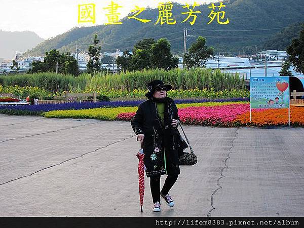 台中新社花海---花間漫遊  (146).jpg