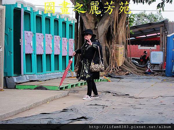 台中新社花海---花間漫遊  (149).jpg