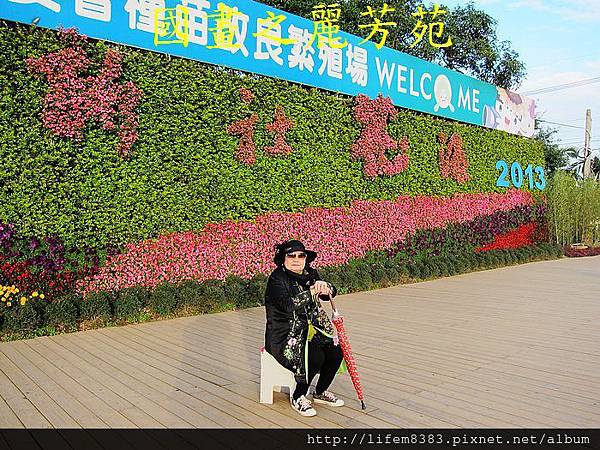 台中新社花海---花間漫遊  (158).jpg