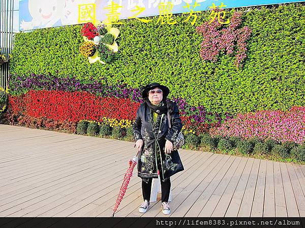 台中新社花海---花間漫遊  (159).jpg