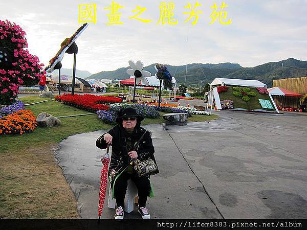 台中新社花海---花間漫遊  (163).jpg