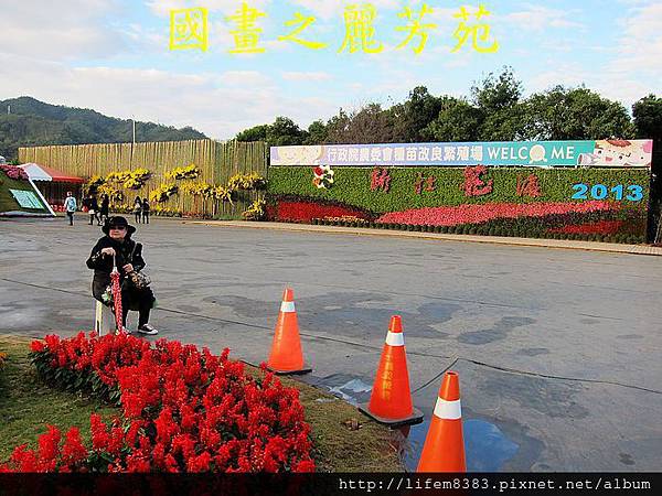 台中新社花海---花間漫遊  (164).jpg