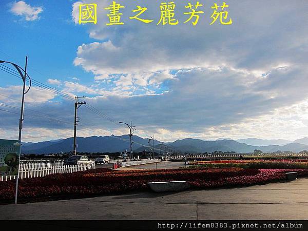 台中新社花海---花間漫遊  (168).jpg