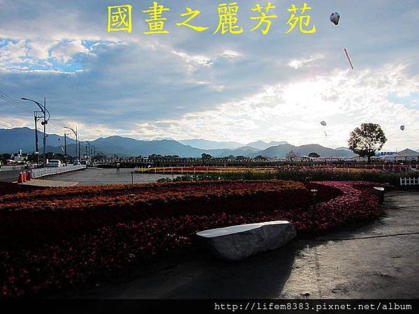 台中新社花海---花間漫遊  (174).jpg