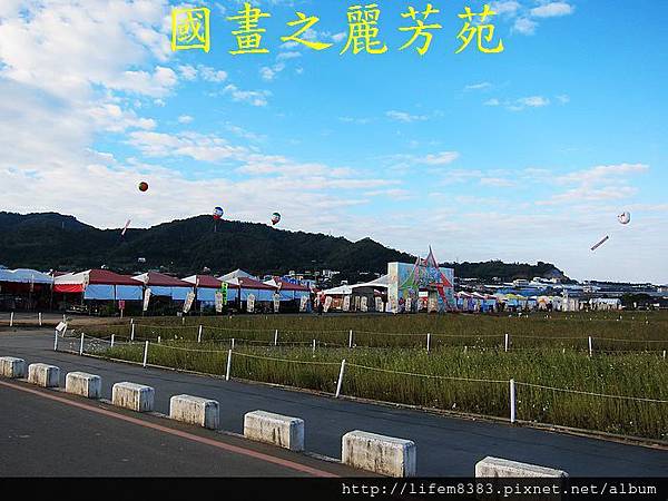 台中新社花海---花間漫遊  (191).jpg