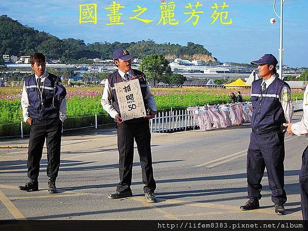 台中新社花海---花間漫遊  (198).jpg